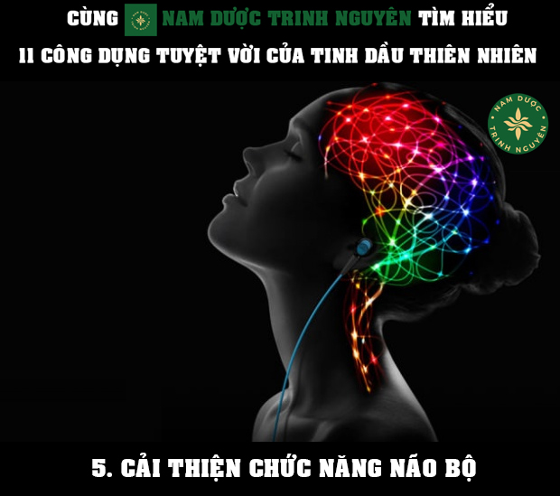 TINH-DaU-CaI-THIeN-CHuC-NaNG-NaO-Bo